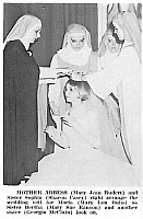 Maria wedding veil